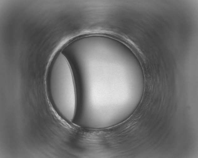 X0000060271416200510281023
