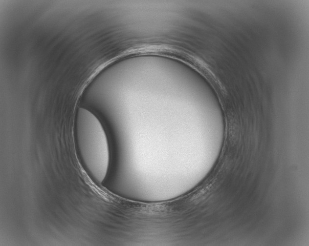 X0000060271417200510281023