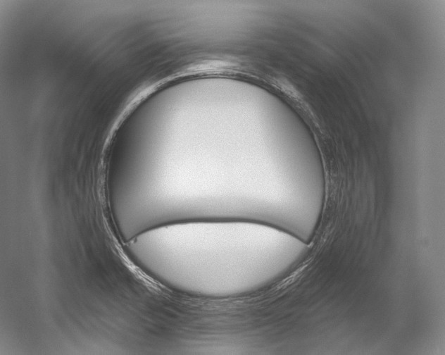 X0000060271421200510281023