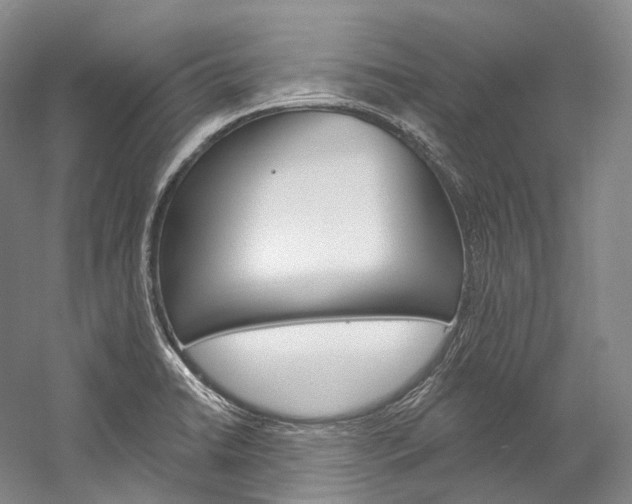 X0000060271422200510281023