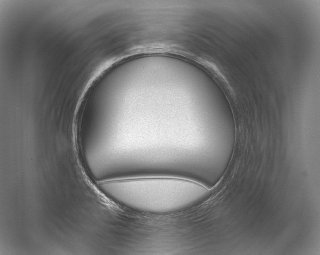 X0000060271424200510281023