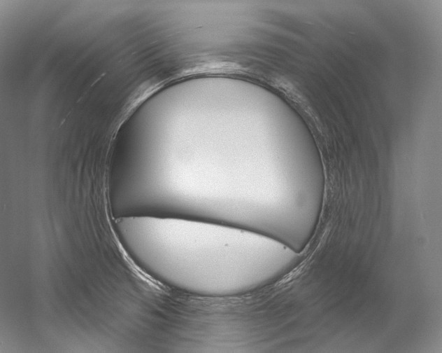 X0000060271425200510281023