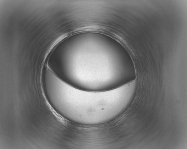 X0000060271426200510281023