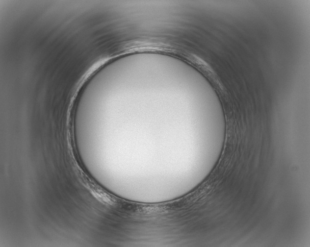 X0000060271427200510281023