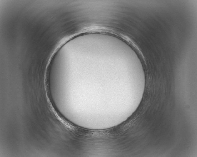 X0000060271429200510281023