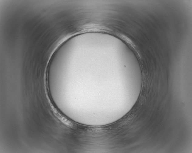 X0000060271431200510281023