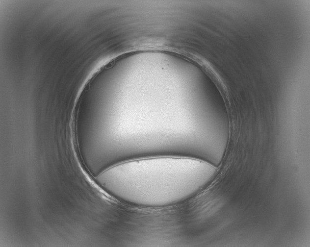 X0000060271432200510281023