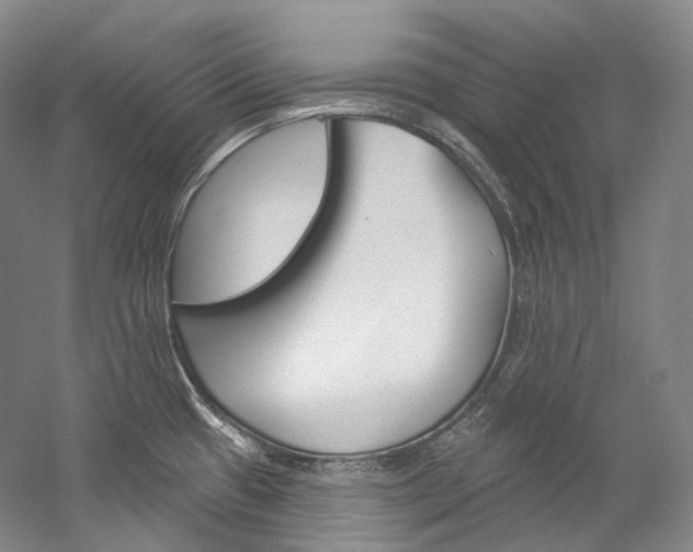 X0000060271433200510281023