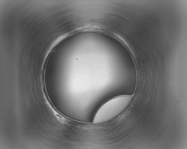 X0000060271434200510281023