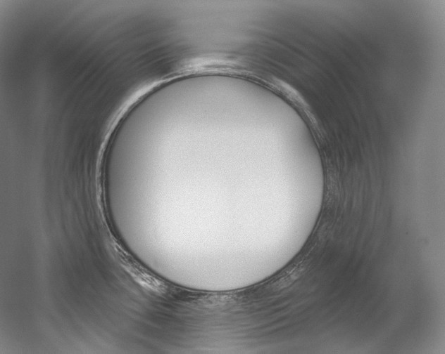 X0000060271435200510281023