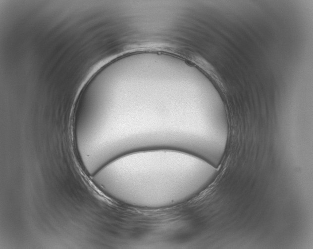 X0000060271436200510281023