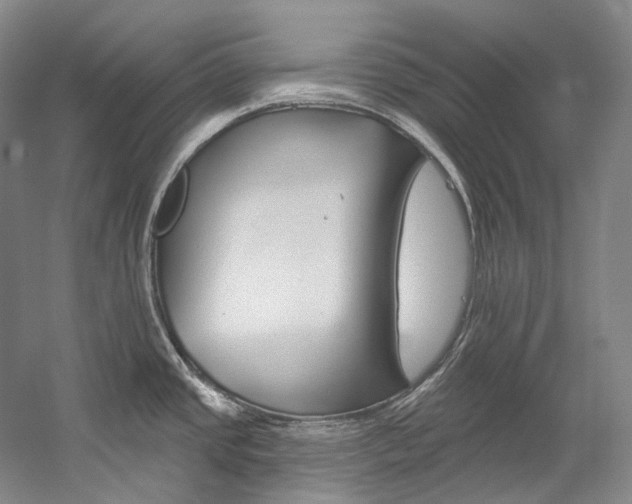 X0000060271437200510281023