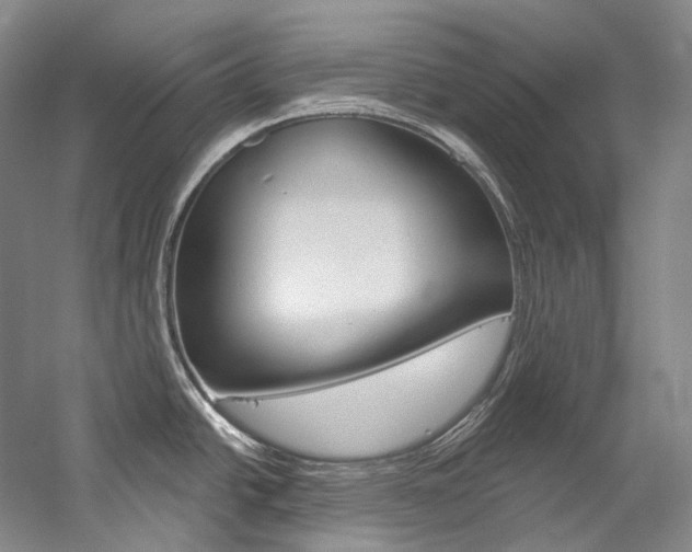 X0000060271438200510281023