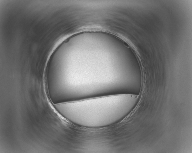 X0000060271440200510281023
