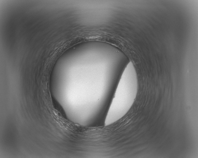 X0000060271441200510281022