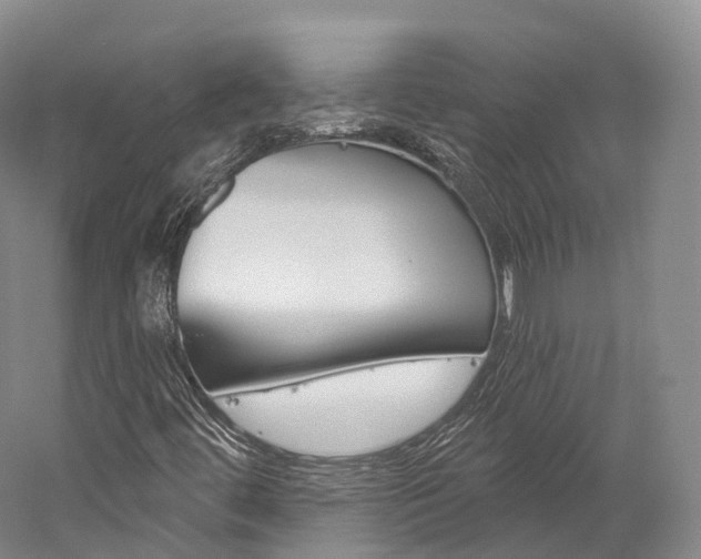 X0000060271444200510281022