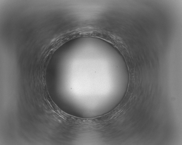X0000060271445200510281022