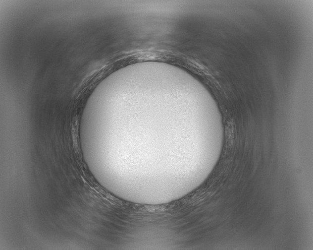 X0000060271446200510281022