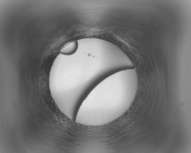 X0000060271447200510281022