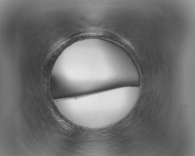 X0000060271448200510281022