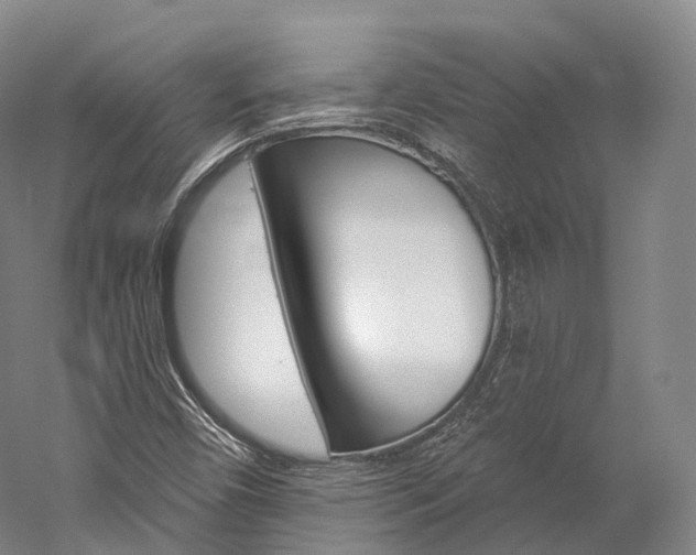 X0000060271450200510281022