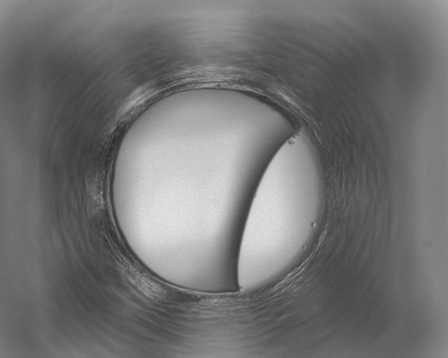 X0000060271451200510281022