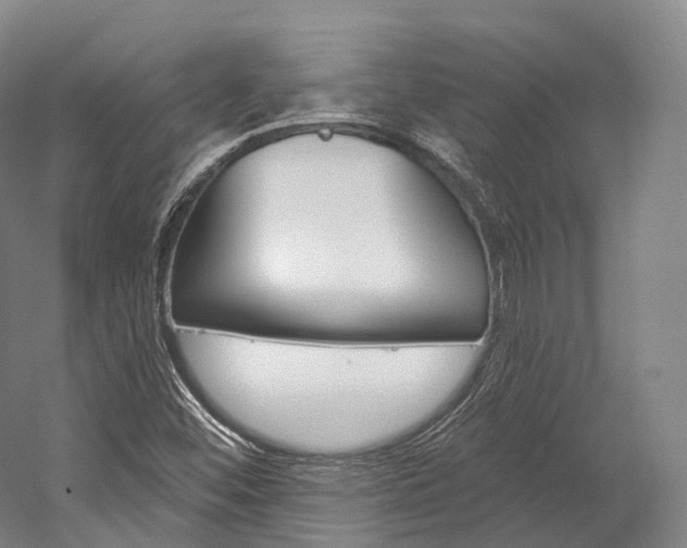 X0000060271452200510281022
