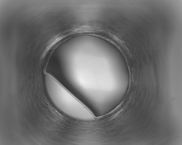 X0000060271453200510281022
