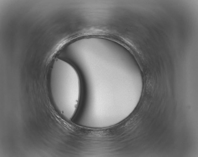 X0000060271455200510281022