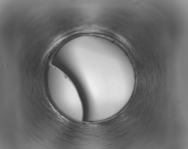X0000060271456200510281022