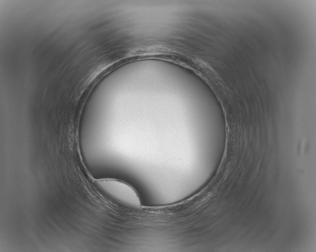 X0000060271457200510281022