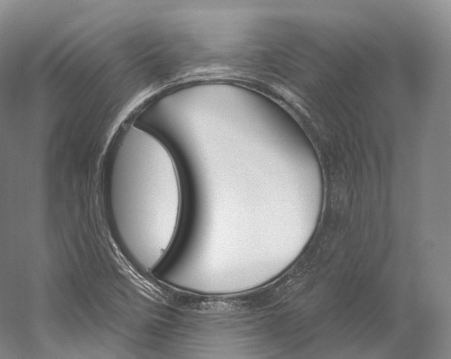 X0000060271458200510281022