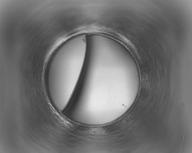 X0000060271464200510281022