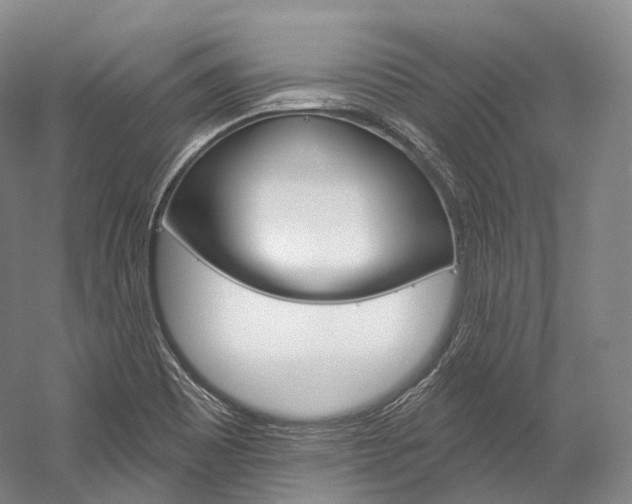 X0000060271465200510281022