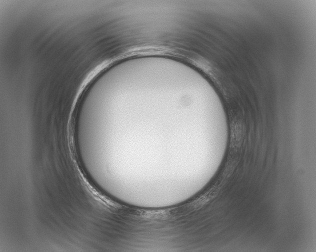 X0000060271466200510281022