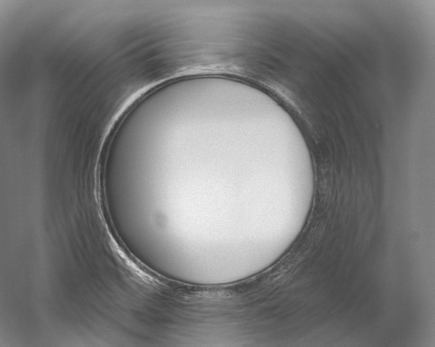 X0000060271468200510281022