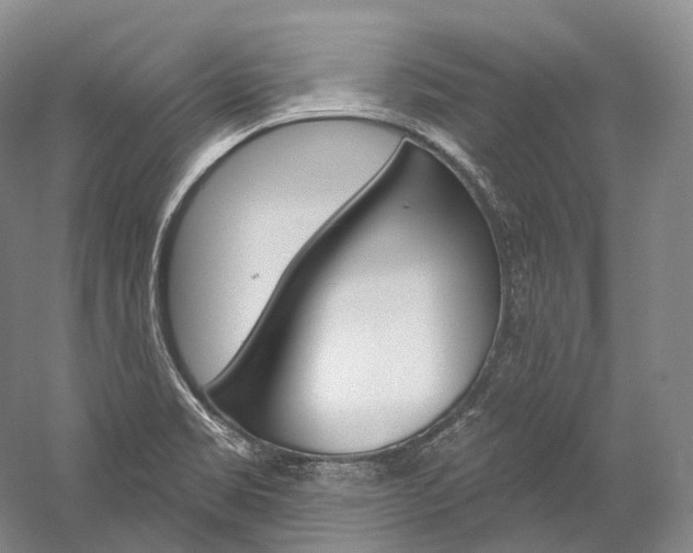 X0000060271469200510281022