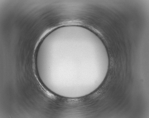 X0000060271470200510281022