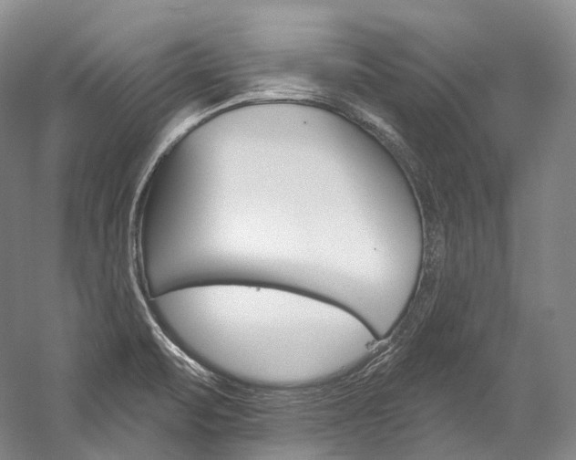 X0000060271471200510281022