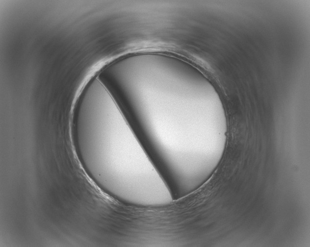 X0000060271472200510281022