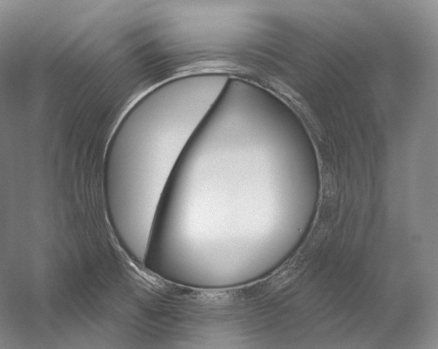 X0000060271473200510281022