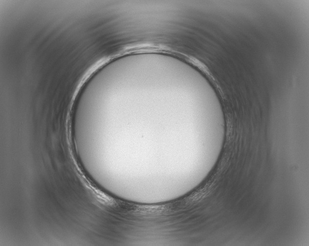 X0000060271474200510281022