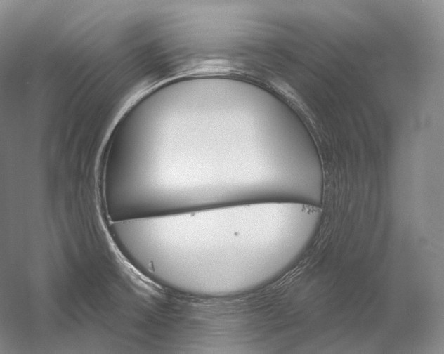 X0000060271475200510281022