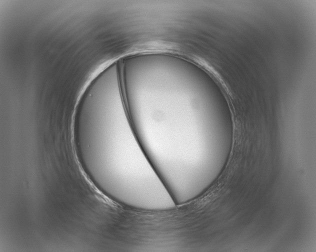 X0000060271477200510281022