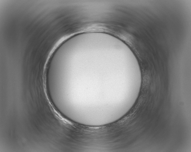 X0000060271478200510281022