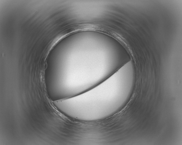 X0000060271481200510281022