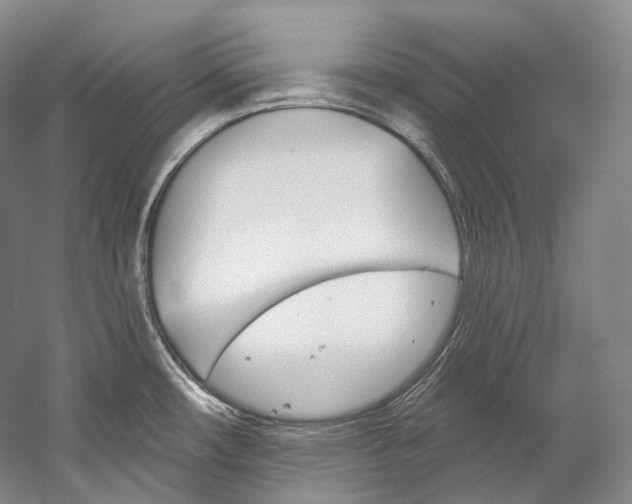 X0000060271482200510281022