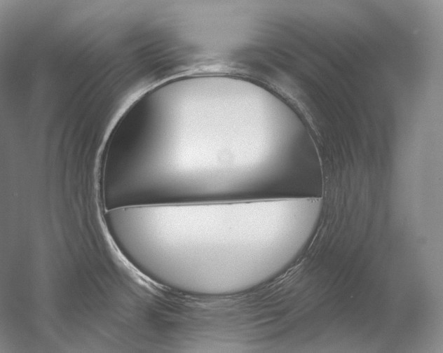 X0000060271483200510281022