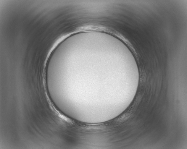 X0000060271486200510281022