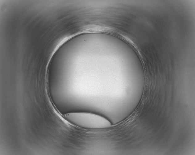X0000060271487200510281022